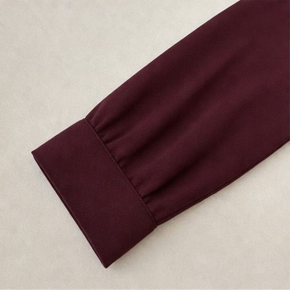 Burgundy Ruffle Blouse - Picture 5 of 6